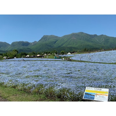 キャンピングリゾート花と星　宿泊補助券20,000円分