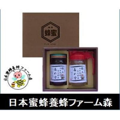 【国産はちみつ】 日本純粋百花蜂蜜「森の蜜」 300g×1本・パッカー容器 化粧箱入り