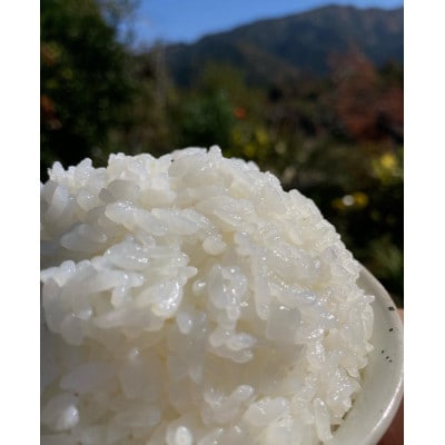 ごはんだけでご馳走になる!!【令和5年産】にこまる 白米10kg 竹田水穂　※紙袋包装