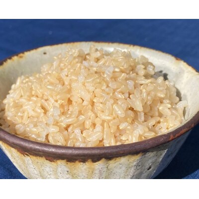 ごはんだけでご馳走になる!!【令和5年産】にこまる 玄米10kg 竹田水穂　※紙袋包装