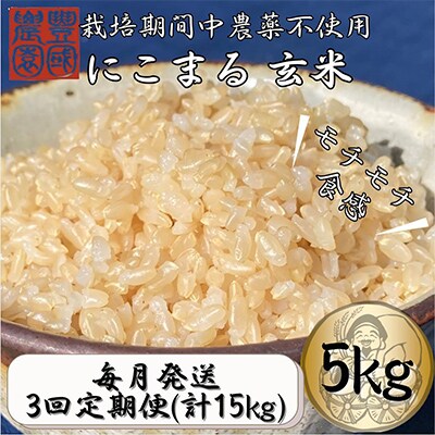 【毎月定期便】ごはんだけでご馳走になる!! にこまる 玄米5kg ※紙袋包装全3回