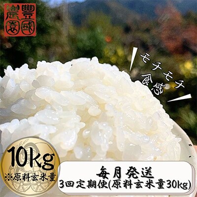 【毎月定期便】ごはんだけでご馳走になる!! にこまる 白米10kg ※紙袋包装全3回