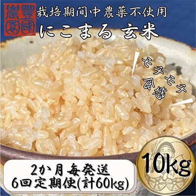 【2ヵ月毎定期便】ごはんだけでご馳走になる!! にこまる 玄米10kg ※紙袋包装全6回
