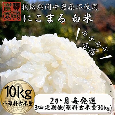 【2ヵ月毎定期便】ごはんだけでご馳走になる!! にこまる 白米10kg ※紙袋包装全3回