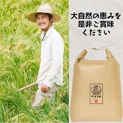 【2ヵ月毎定期便】ごはんだけでご馳走になる!! にこまる 白米10kg ※紙袋包装全3回