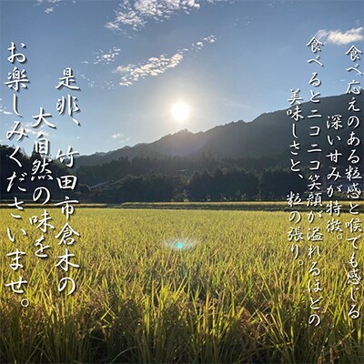 【2ヵ月毎定期便】ごはんだけでご馳走になる!! にこまる 白米10kg ※紙袋包装全3回