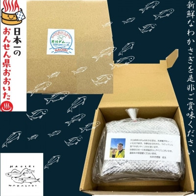 【大分県芹川ダム】冷凍わかさぎ　220g×2袋