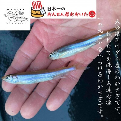 【大分県芹川ダム】冷凍わかさぎ　220g×2袋