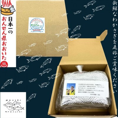 【大分県芹川ダム】冷凍わかさぎ　220g×2袋
