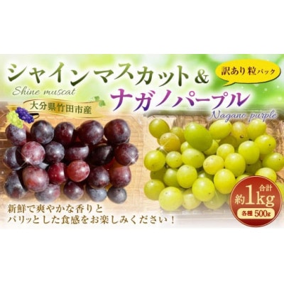 【2025年度先行予約】粒パック訳ありシャインマスカット(約500g)&ナガノパープル(約500g)