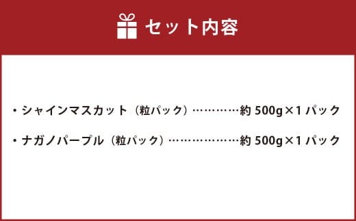 【2025年度先行予約】粒パック訳ありシャインマスカット(約500g)&ナガノパープル(約500g)