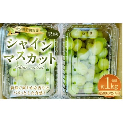 【数量限定】粒パック訳ありシャインマスカット1kg(2パック)