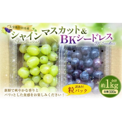 粒パック訳ありシャインマスカット(約500g)&BKシードレス(約500g) 1kg(各1パック)