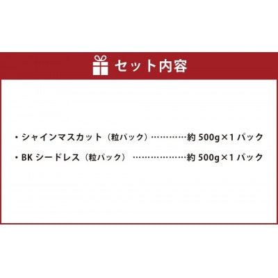 粒パック訳ありシャインマスカット(約500g)&BKシードレス(約500g) 1kg(各1パック)