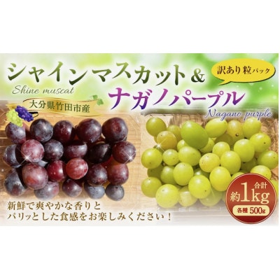 粒パック訳ありシャインマスカット&ナガノパープル 計1kg(各1パック約500g)