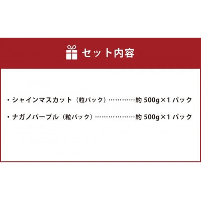 粒パック訳ありシャインマスカット&ナガノパープル 計1kg(各1パック約500g)