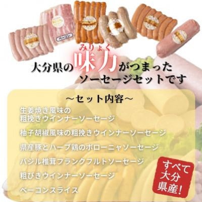 大分県産 おおいた味力 ソーセージセット 計1.14kg【大分県5市共同】(竹田市)