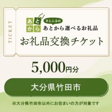 大分県竹田市　お礼品交換チケット　5,000円分