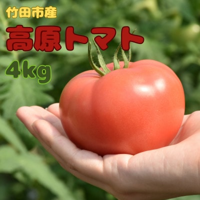 【竹田市産】高原トマト 4kg