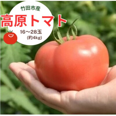 【竹田市産】高原トマト 16玉から28玉(約4kg)