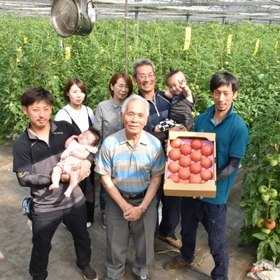 【竹田市産】高原トマト 4kg