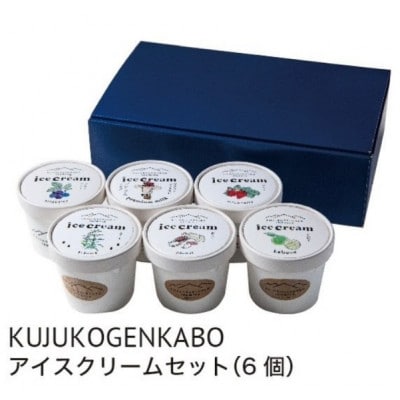 プレミアムアイスクリーム 6個入りセット(120ml×6個)