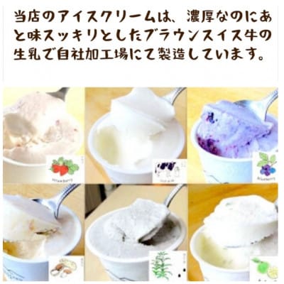プレミアムアイスクリーム 6個入りセット(120ml×6個)