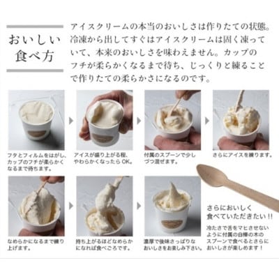 プレミアムアイスクリーム 6個入りセット(120ml×6個)