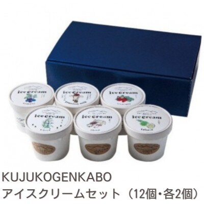 プレミアムアイスクリーム 12個入りセット(120ml×12個)