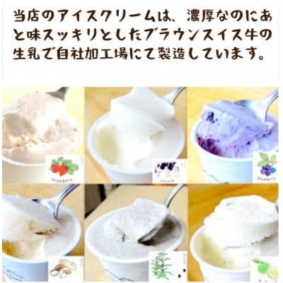 プレミアムアイスクリーム 12個入りセット(120ml×12個)