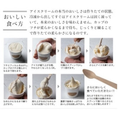 プレミアムアイスクリーム 12個入りセット(120ml×12個)