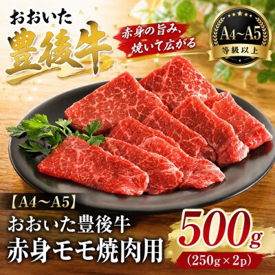 【A4～A5】おおいた豊後牛赤身モモ焼肉用 500g(250g×2p)(竹田市)