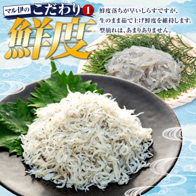しらす干し 1kg 1箱 訳あり #通年#