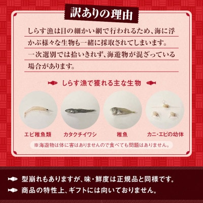 釜揚げしらす 1kg 1箱 訳あり #通年#