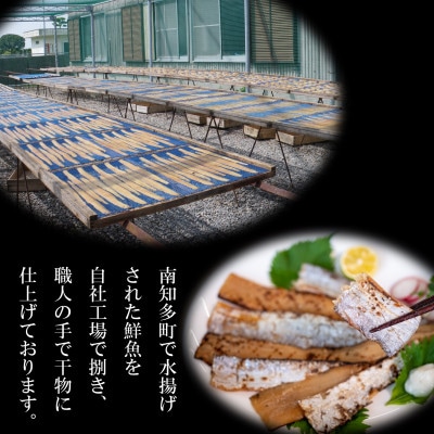 〈南知多〉海の幸・干物詰め合わせ