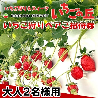 まるは食堂　マルハリゾート　いちごの丘『いちご狩り』ペアご招待券　※大人(中学生以上)2名様用