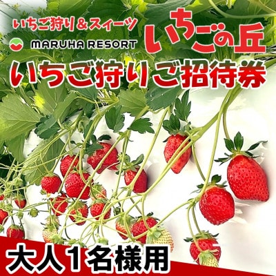 まるは食堂　マルハリゾート　いちごの丘『いちご狩り』ご招待券　※大人(中学生以上)1名様用