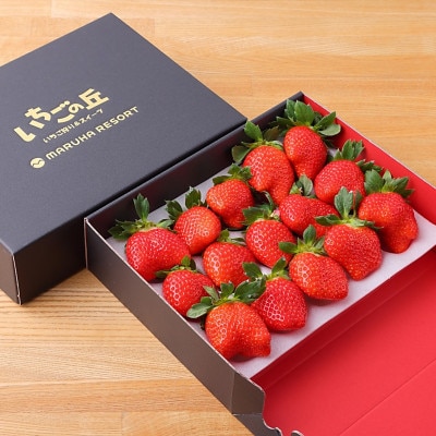 まるは食堂　マルハリゾート　いちごの丘『いちご狩り』ご招待券　※大人(中学生以上)1名様用