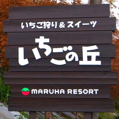 まるは食堂　マルハリゾート　いちごの丘『いちご狩り』ご招待券　※大人(中学生以上)1名様用