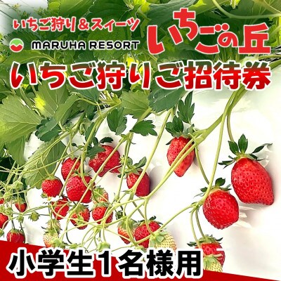 まるは食堂　マルハリゾート　いちごの丘『いちご狩り』小学生用ご招待券(1名様用)
