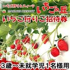 まるは食堂　マルハリゾート　いちごの丘『いちご狩り』3歳～未就学児用ご招待券(1名様用)