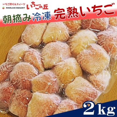 まるは食堂　マルハリゾート　いちごの丘の『訳あり』完熟冷凍いちご2kg
