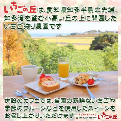 まるは食堂　マルハリゾート　いちごの丘の『訳あり』完熟冷凍いちご2kg