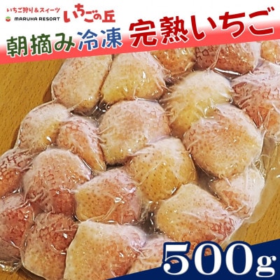まるは食堂　マルハリゾート　いちごの丘の『訳あり』完熟冷凍いちご500g