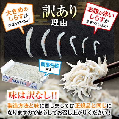 訳あり　釜揚げしらす 350g(箱入り) 冷凍 無添加・無着色・減塩