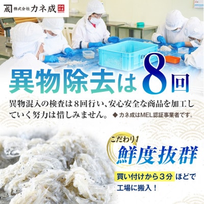 訳あり　釜揚げしらす 350g(箱入り) 冷凍 無添加・無着色・減塩