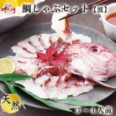 岬だよりの贅沢すぎる!鯛しゃぶセット【波】～出汁・ポン酢付き～