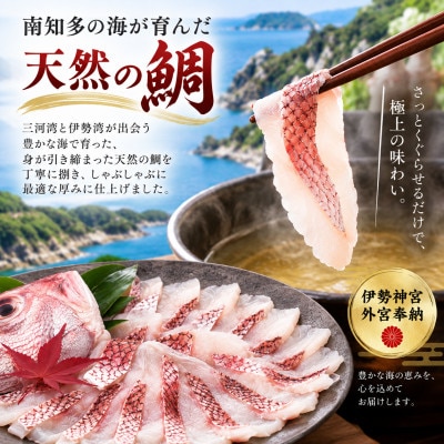 【伊勢神宮外宮奉納】天然真鯛の鯛しゃぶセット 3～4人前|出汁・特製ポン酢付き【岬だより】