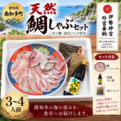 【伊勢神宮外宮奉納】天然真鯛の鯛しゃぶセット 3～4人前|出汁・特製ポン酢付き【岬だより】