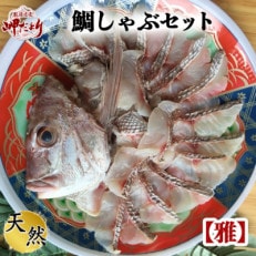 岬だよりの贅沢すぎる!鯛しゃぶセット【雅】～出汁・ポン酢付き～